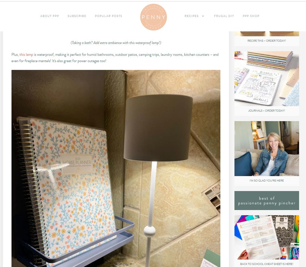 Huiveoo LED cordless lamp passionate penny picher