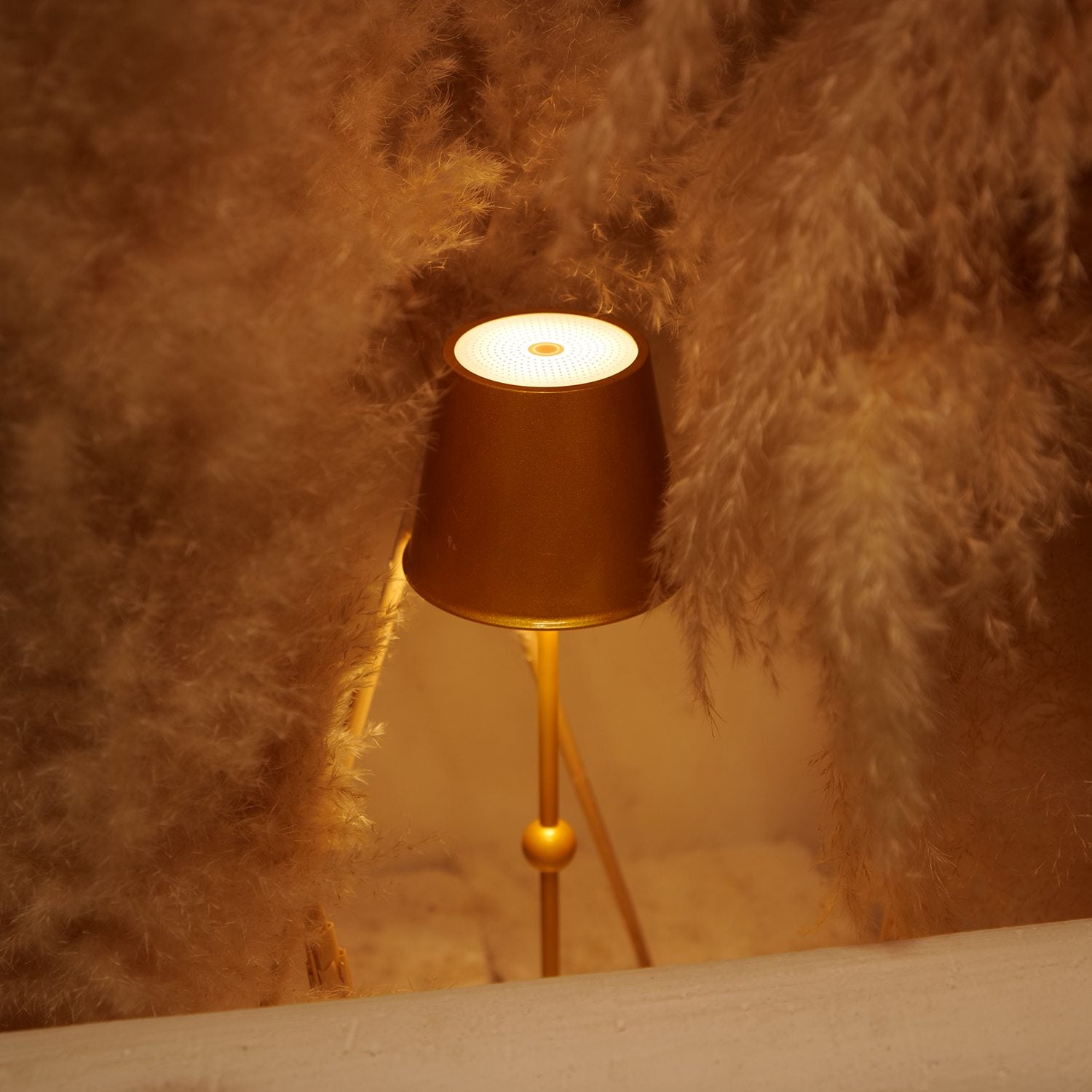 Cordless Table Lamp Silva A - LED Portable & Rechargeable Touch Dimmable